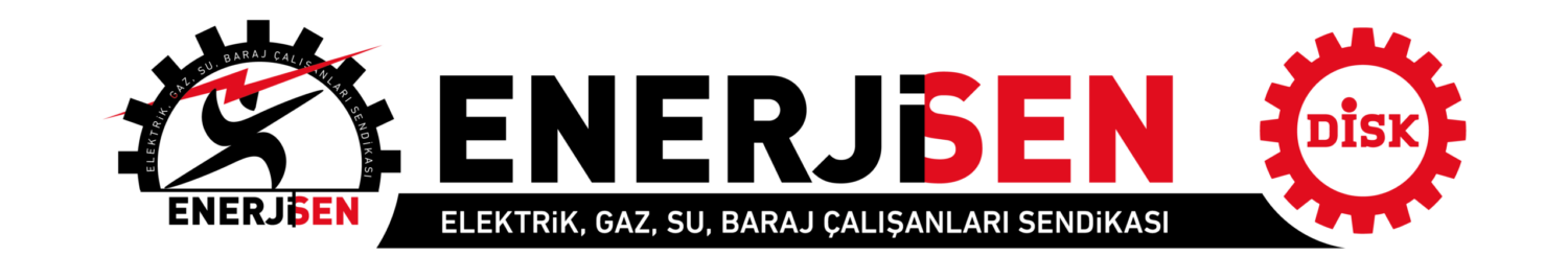 DİSK/Enerji-Sen